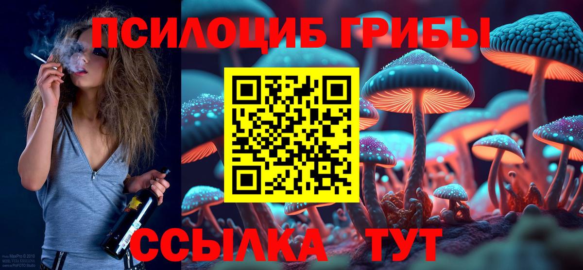 Галлюциногенные грибы MAGIC MUSHROOMS  Вход с VPN  Владикавказ 