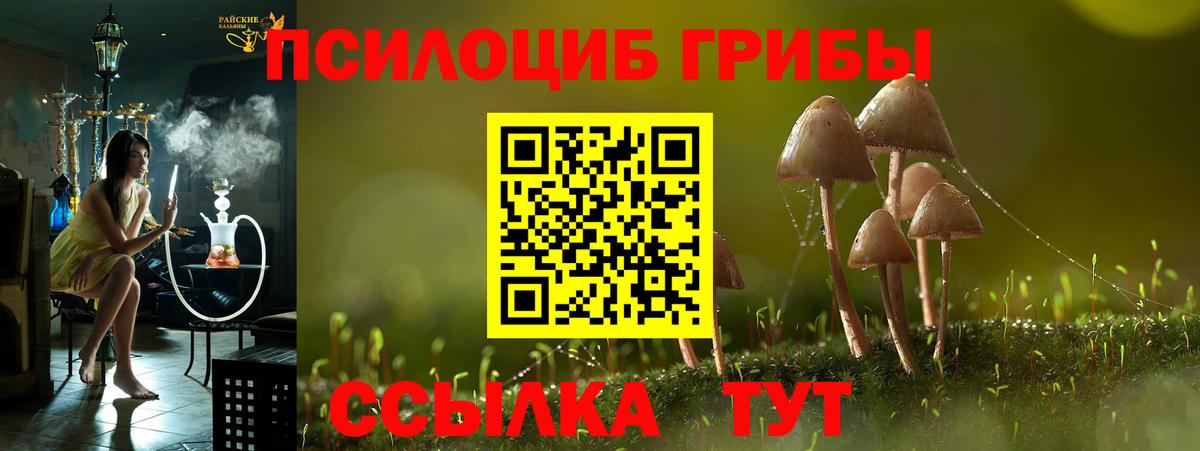 Псилоцибиновые грибы мухоморы Владикавказ